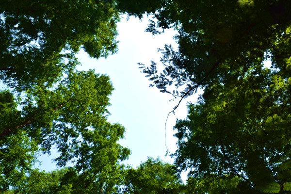 省工业和信息化厅印发《湖南省级人工智能终端产品认定管理办法(试行)》