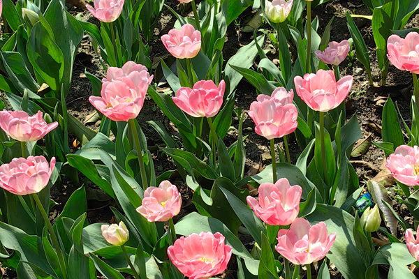 产品创新驱动增长，红豆股份0感舒适衬衫4.0发布会释放发展新动能