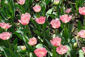 产品创新驱动增长，红豆股份0感舒适衬衫4.0发布会释放发展新动能