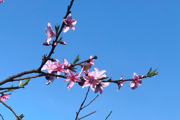 春启“质”训，聚力赋能｜通用技术中纺院中纺标2026“守正质远·质量培训月”收官，六地联动绘就产业提质新图景